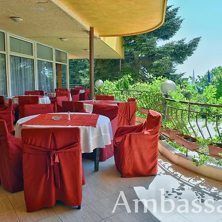 Отель Ambassador