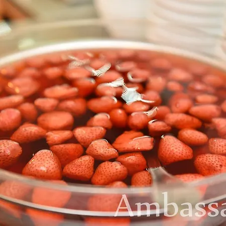 酒店 Ambassador 3*